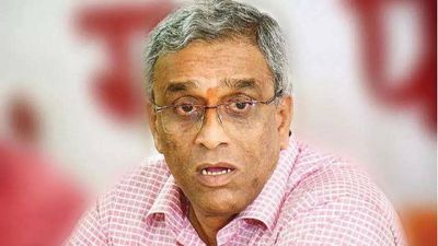 ASI, govt could look at finding temple remains in Goa: Ramkrishna Dhavalikar