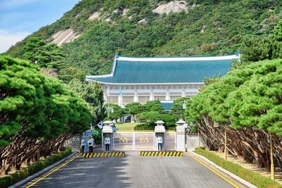 S. Korea Blue House opens to public for 1st time in 74 years