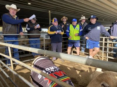 NRL greats count sheep for a good cause