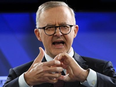 Budget repair starts with grants: Albanese