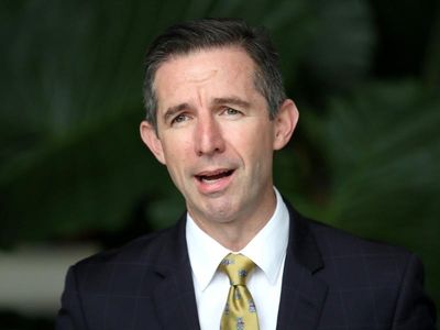 No forced public sector job cuts: minister