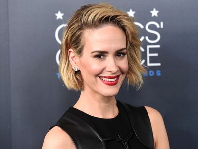 Sarah Paulson says her friend Clementine Ford’s missing dog has been found after public appeal