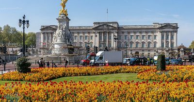 UK weather forecast: Brits to enjoy Platinum Jubilee bank holiday heatwave scorcher