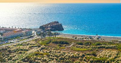 Spain holiday warning as Brits could be fined for taking shirts off
