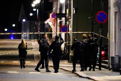 Man pleads guilty to killing five in Norway stabbing, bow-and-arrow attacks