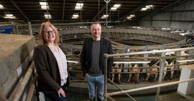 Farm disease detection start-up secures £2.2 million in funding