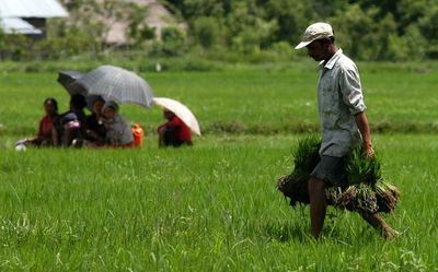 IPS officer suspended in Manipur for wrong use of agricultural land