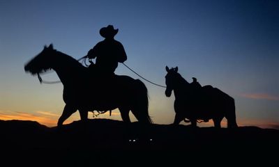 My Name Is Yip by Paddy Crewe review – a consummate debut