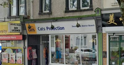 Charity shop broken into by thieves who 'tried to start a fire' inside