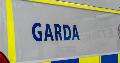 Assault and burglary reports skyrocket in Dublin since end of Covid restrictions
