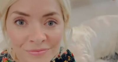 Holly Willoughby applauded as she shares 'brilliant' trick for pet owners using an empty diffuser