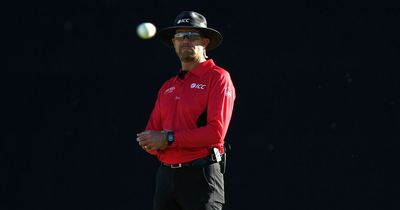 Somerset umpire Mike Burns outlines Test ambition as he returns to international fold