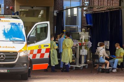 Australian expert fears UK monkeypox outbreak could spread across borders