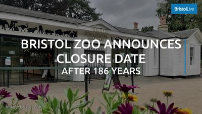 Bristol Zoo plans summer of events ahead of September closure