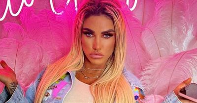 Katie Price fans gush over 'fab' star as they praise her make-up masterclass