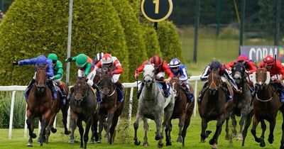 Came From The Dark can bounce back in Temple Stakes at Haydock Park