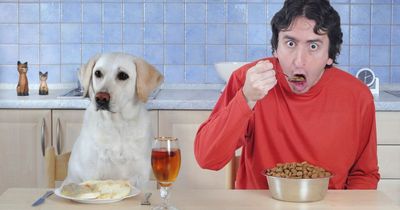 You can get paid £5,000 to eat nothing but dog food for a whole week