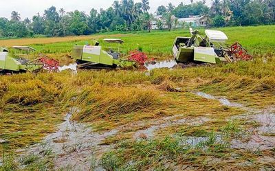Heavy rain, rough sea batter Alappuzha