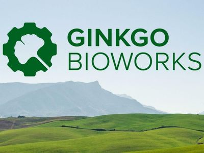 BofA Downgrades Ginkgo Bioworks, Cuts Price Target In Half
