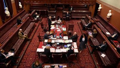 NSW's voluntary assisted dying laws delayed as MPs fail to vote after marathon sitting