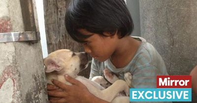 Boy, 11, abandoned by his parents sings lullaby to stray dogs on the street