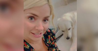 Holly Willoughby comes up with 'genius' tip for dog owners