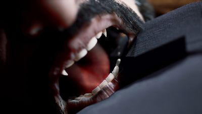 Vampire: The Masquerade – Swansong review – ‘Blood and blathering’