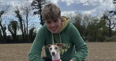 Tributes paid after death of young Wexford student, 16, who was 'incredibly kind' and 'a true adventurer'