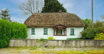 Stunning 19th century home on sale in Wexford for bargain price - but you'll need to act quick