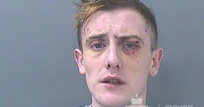 Thug headbutted ex-partner after stealing her dog and demanding £5,000