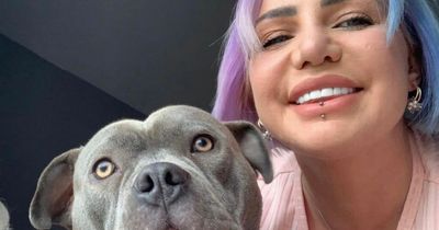 Woman's American Bully dog bit her 25 times - but she insists breed is safe
