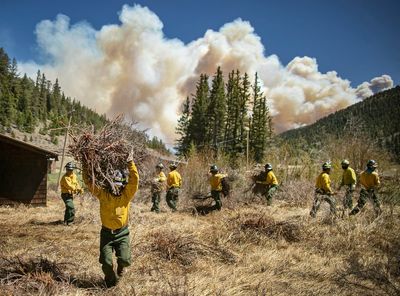 Firefighters slow grow of massive New Mexico wildfire