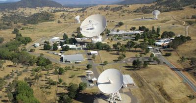 Tidbinbilla tree presents big problem for CSIRO carbon reduction plans