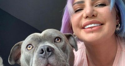 Mum 'bitten 25 times' by American Bully dog bought from unlicensed breeder