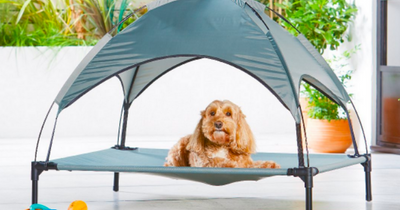 Aldi shoppers rush to buy sunshade dog bed for hot weather - but not everyone is impressed