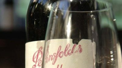Iconic South Australian wine brand Penfolds to launch 'made in China' vintage in effort to skirt Chinese tariffs