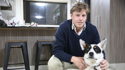 Rental crisis caused by short-stay businesses leaving NSW tenants evicted and homeless