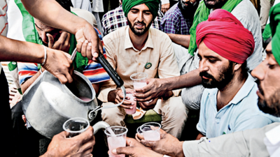 Punjab: Abohar & Fazilka farmers stay back for night, celebrate with potato curry