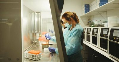 Another death, record number of COVID hospitalisations