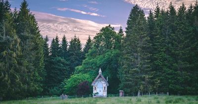 Northumberland glamping site with treehouse and upcycled chapel given glowing review in The Times