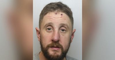 'Mindless' thug threatened woman, attacked two men and damaged nine police cars