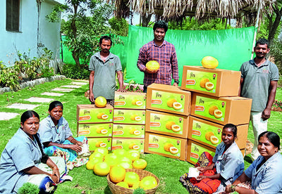 Telugu youth adopts automation, takes farming to next level
