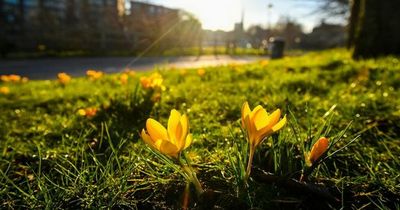 Met Eireann weather forecast a brief respite for Dublin before dire conditions make a return