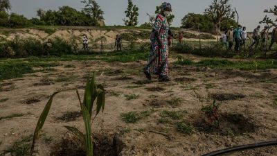 COP15: 'Great Green Wall' still touted as the Sahel's desertification solution