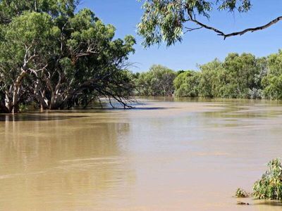 Murray-Darling Basin CRC launched with $50m in govt funding