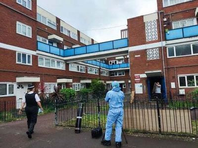 Woman, 34, found stabbed to death at home in Canning Town