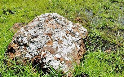 Bauxite mining dispute | IDRC dismisses UAE body’s claim for damages from Andhra govt