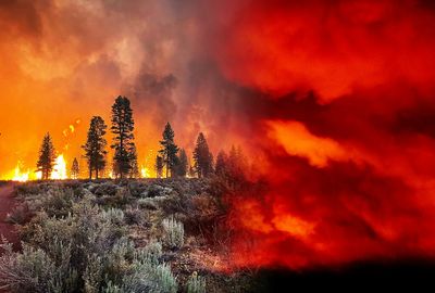 Climate crisis is reaching boiling point