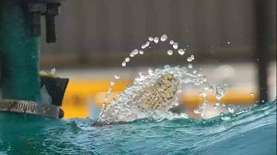 BMC to supply additional water to Thane