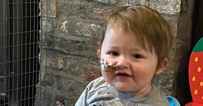 Devastated parents pay tribute to Harri Stickler after three-year-old 'hero' loses desperate battle for lifesaving treatment